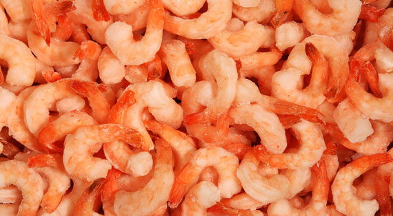 Camarón fresco de cultivo